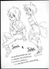 (CR16) [bolze.(rit.)] ScavengeR strikes back!