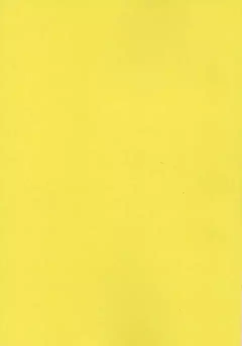 Snake, Frog and Slug