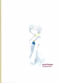 (C75) [Konekodamashi (Harazaki Takuma)] wind flower (Eureka 7)