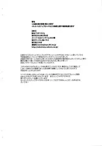 (SHT2015 Haru) [Neko Irazu (Hinoki)] Kotatsu Neko (Senki Zesshou Symphogear) [Incomplete]