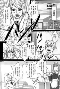 COMIC Shitsurakuten 2008-12