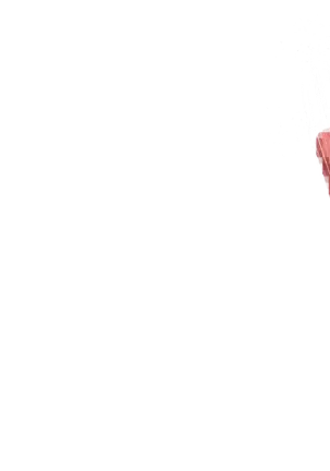 Yuuka-Chirabatta Daiyoukai no Kakera-