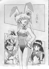 (C43) [METAL Bunshitsu] Getsugetsukaasuimokukinkin (Bishoujo Senshi Sailor Moon)