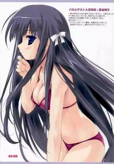 Favorites 2011 Summer ver