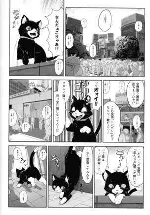 Do You Like Morgana.