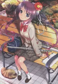 (C85) [TRI-MOON! (Mikazuki Akira!)] vario (Mahou Shoujo Lyrical Nanoha)