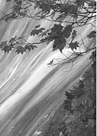 (C74) [54burger (Marugoshi)] Rainbow Bridge (Touhou Project) [English] [desudesu]