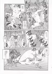 (Kouroumu 6) [Satellites (Satetsu)] Meiyuu Kangoku (Touhou Project)