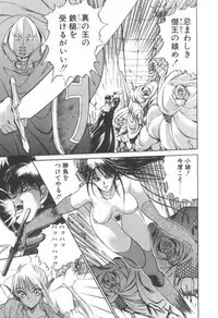 [Fujisaki Makoto] Dark Wirbel Konran-hen