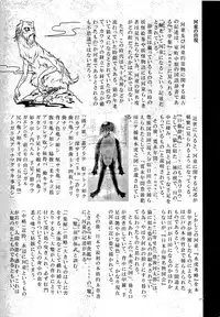 (C89) [SHIS (Z-ton)] A Beautiful Greed Z-ton Jingai Soushuuhen