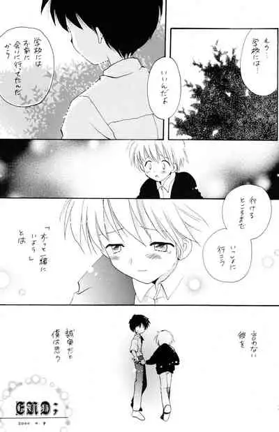 (SUPER13) [Kuruguru DNA (Hoshiai Hilo)] I wanna be your sugar cube doll