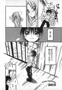 Colorful Bee 1999-10