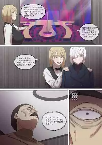 Daraku Mesu-tachi no Shoufu Nisshi