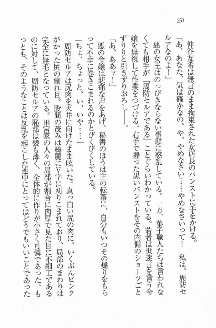 メイド喫茶 猫の隠れ家