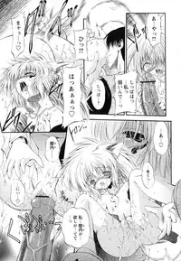 [Noraneko Nagaya] Horoama Omocha Hako