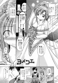 [Yatsuki Akehisa] Yokujou Splash - Splash Desire