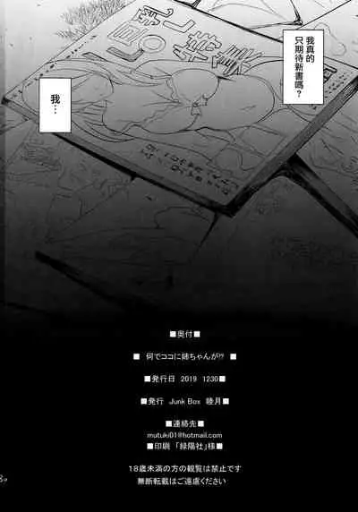 Nande Koko ni Nee-chan ga!?