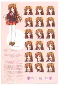 Bra-Ban Visual Fanbook