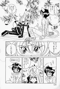 [Sano Takashi] Honey Dip