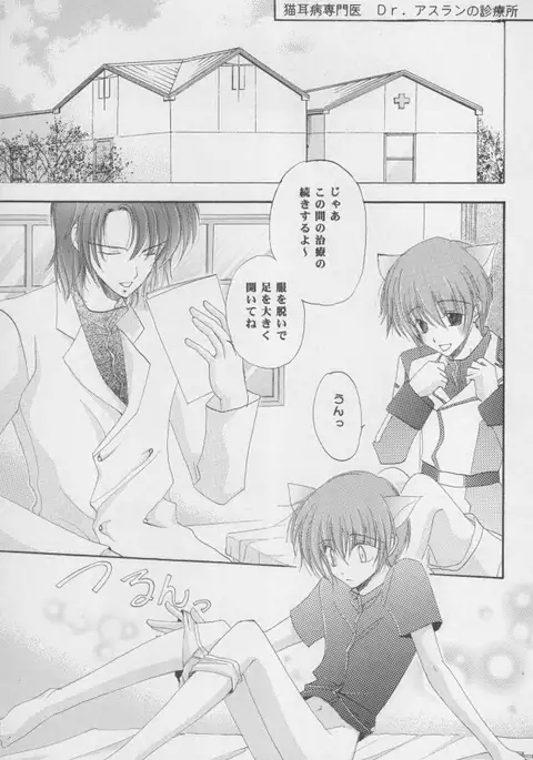 Nekomimi Zouryouchuu