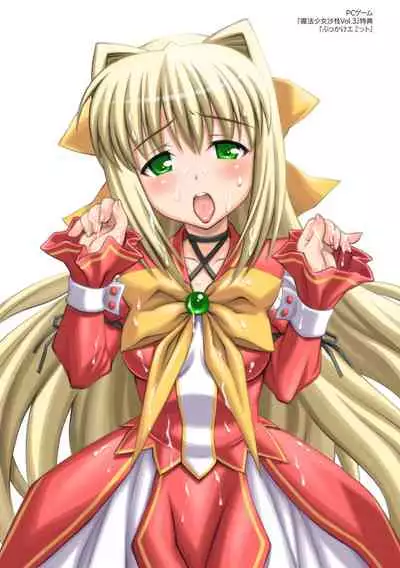 Niku Miko no Utage Yume