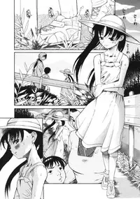 [Eromangaman] Kuwagata - The Stag Beetle