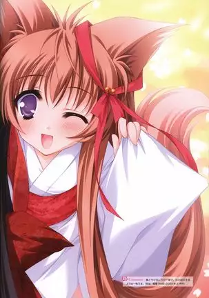 Tayutama -It's happy days- Visual Fanbook