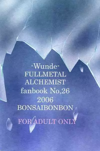 [Bonsai Bonbon(Tsunoda☆Way)] Kizu -Wunde- (Fullmetal Alchemist) [English]