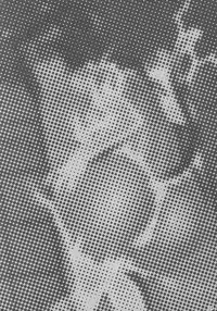 Yoruneko-san no Shunkou Raijuu Ikaryaku