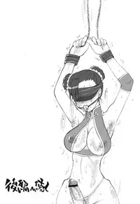 (C66) [Sarurururu (Doru Riheko)] Holic 4 Angel Tail (Street Fighter)