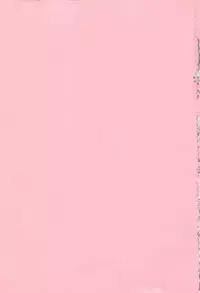 [Shimao Kazu] Flower