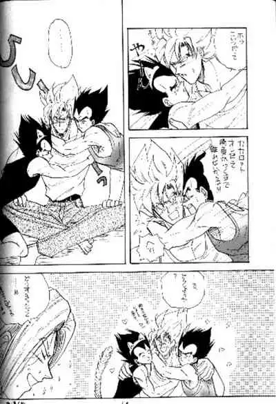 Koko Dake No Futari!!