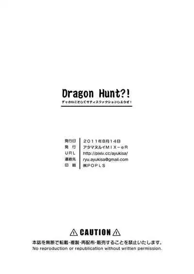 (C80) [Atamanurui MIX-eR (Ayukisa)] Dragon Hunt?! [English]