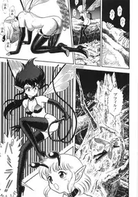 [Kondom] Bondage Fairies Zannin Shimai