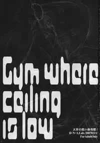 (SC34) [D.N.A.Lab. (Miyasu Risa)] Tenjou no Hikui Taiikukan (Various)