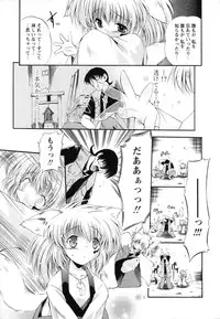 [Noraneko Nagaya] Horoama Omocha Hako