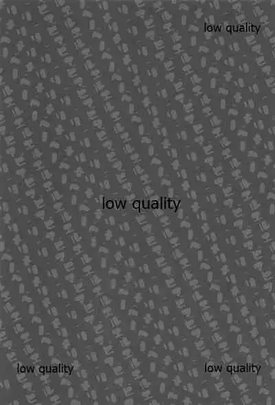 (C94) [WASABI (Tatami)] Maenomeri Bilberry (Various)