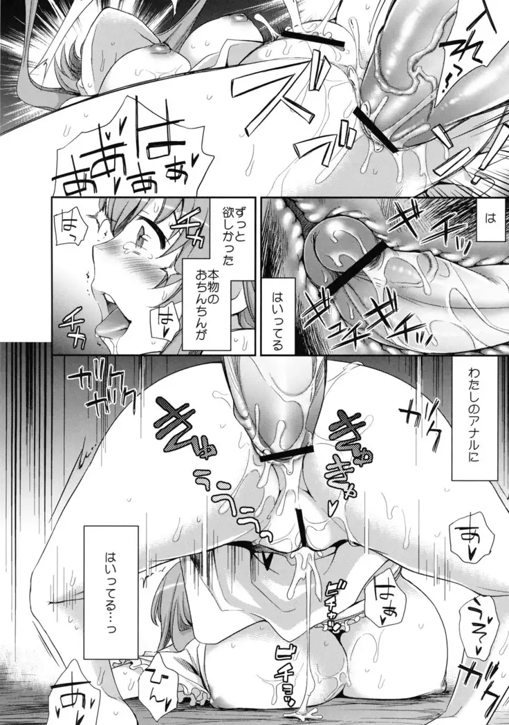 Shinzui Summer ver.2