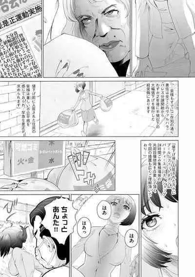 Cyberia Plus Vol. 17