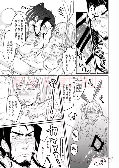 JinDjeeta Ryuu Veil no Jouzuna Tsukaikata