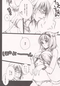 (C70) [Akai Tsubasa (Tachibana Chata)] Bibiki-wan ni ikimashita (Final Fantasy XI)