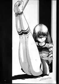 (C38) [Studio Vanguard (Twilight)] GIRLS IN THE DARKSIDE FIFTH