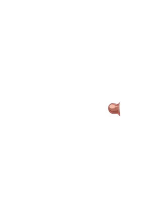 Yuuka-Chirabatta Daiyoukai no Kakera-