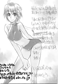 (C68) [Sarurururu (Doru Riheko)] Holic 5 Doors (Street Fighter)