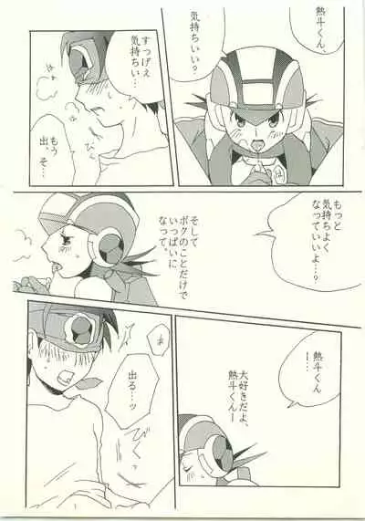 (C70) [AYAnet (Hibikino Ayane)] Daisuki. Dakara, (Rockman.EXE)
