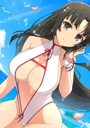 Master Ninja Senran Kagura NEW LINK - Swimsuits