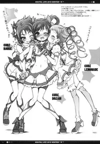 (C79) [life & Digital Flyer (Haga Yui & Ohta Yuuichi)] DIGITAL LIFE 2010 WINTER ff (Precure Series)