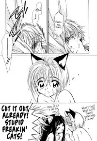[NINE GATE (Yokoyama Knock)] Miracle Seafood Cake (Cardcaptor Sakura) [English] {Hennojin}