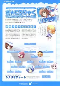 Tsunagaru Bangle - Visual Fan Book