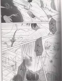 [NAGONAGO (Naggooro)] Heaven's Fruit (Hetalia: Axis Powers)